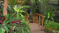 IMG_1072.jpg, 29kB